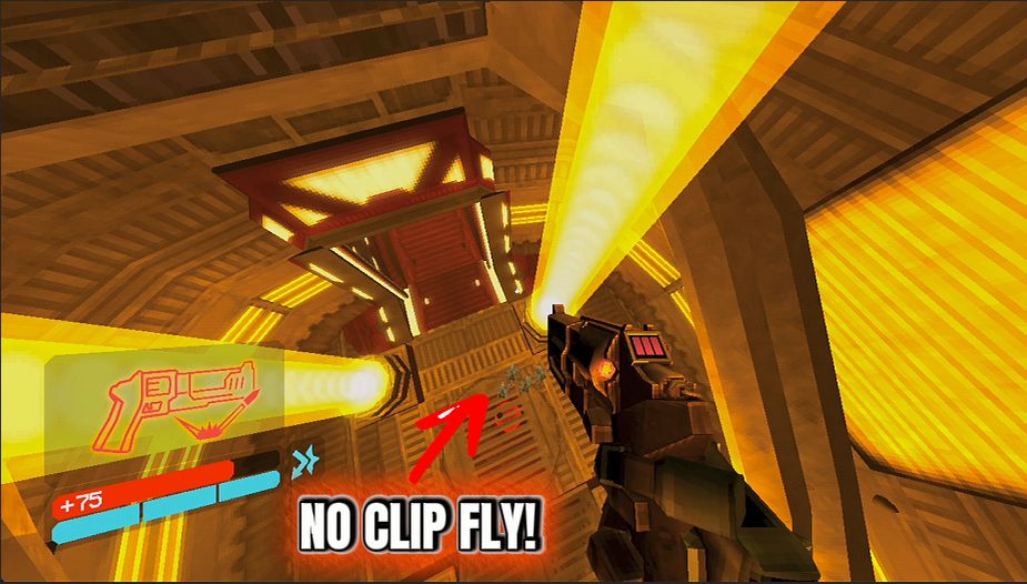 Fly